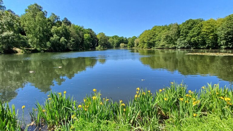 Nostell Priory 768x432