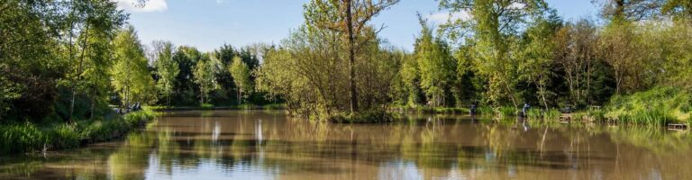 Oak Lakes 768x200