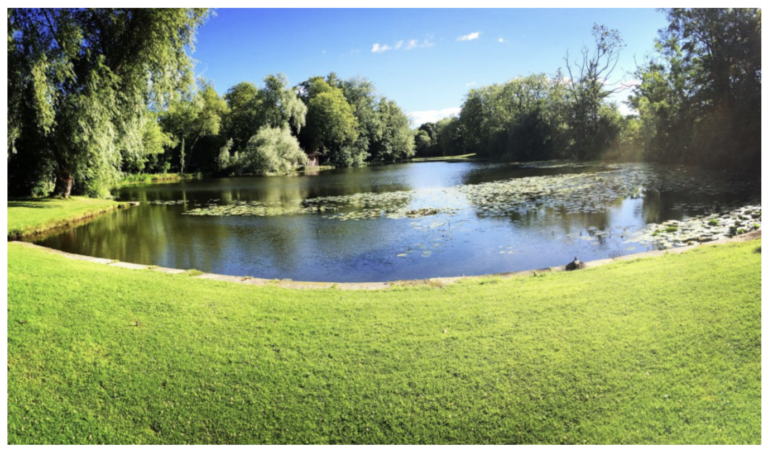 Willow Lake 768x452