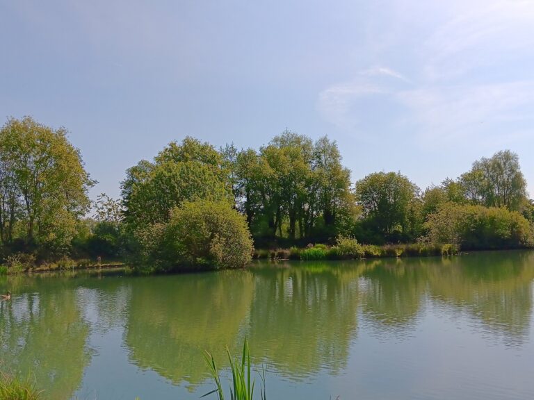 Woodlands Lake 768x576