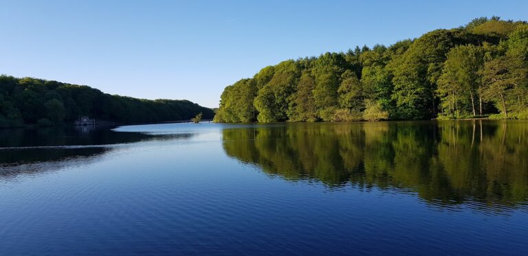 newmillerdam lake 768x373