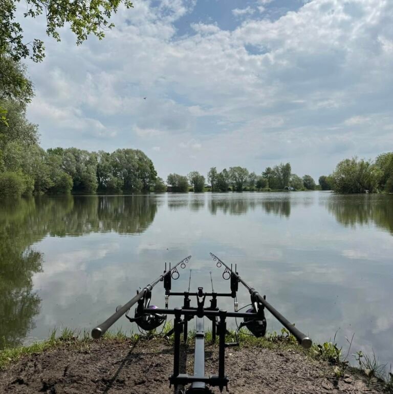 Bank End Fisheries 2 768x769