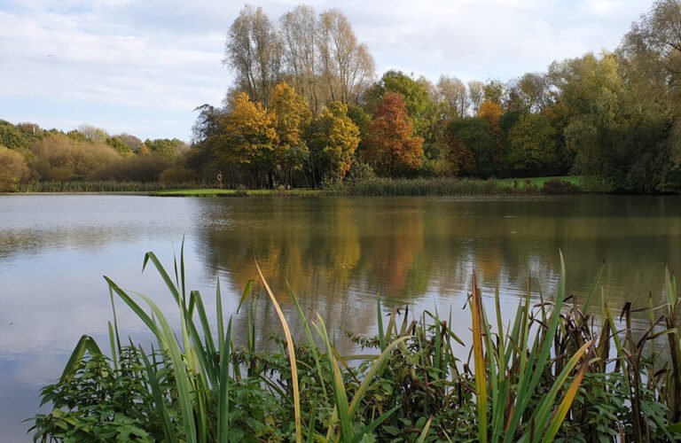 Hemsworth Water Park 768x500
