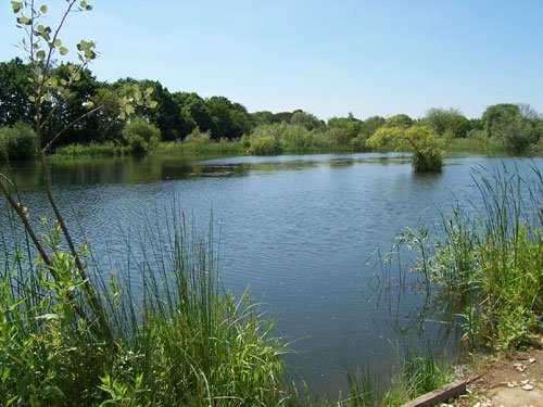 Oaklands Lake