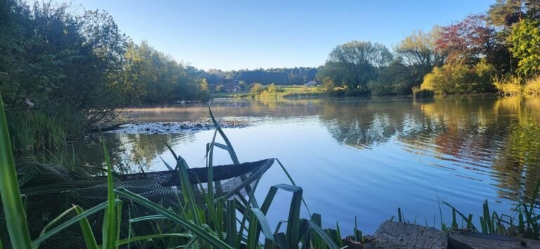 Welham Lake 768x355